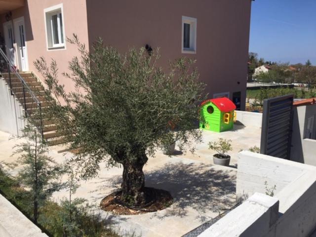 דירות פאזין Middle Istra מראה חיצוני תמונה